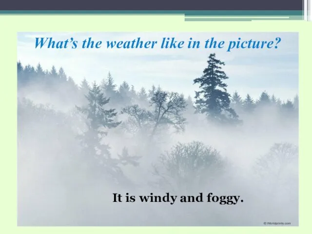 What’s the weather like in the picture? It is windy and foggy.