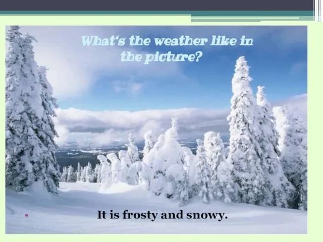 What‘s the weather like in the picture? It is frosty and snowy.