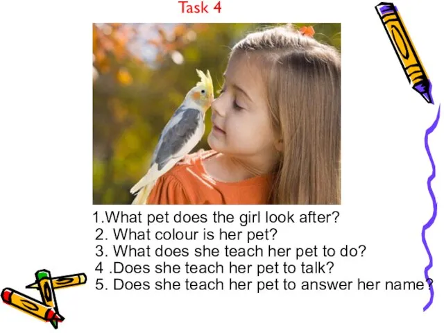 Task 4 1.What pet does the girl look after? 2. What colour