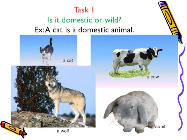 Task 1 Is it domestic or wild? Ex: A cat is a