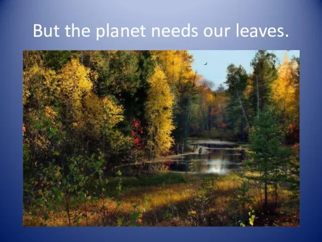 But the planet needs our leaves.