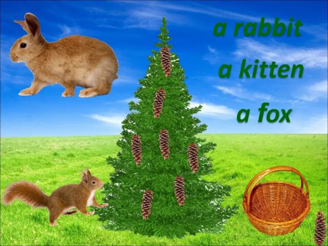 a fox a rabbit a kitten