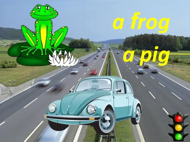 a frog a pig