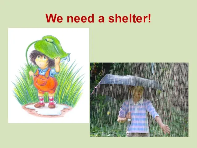 We need a shelter!