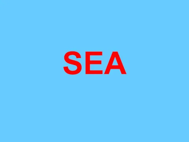 SEA