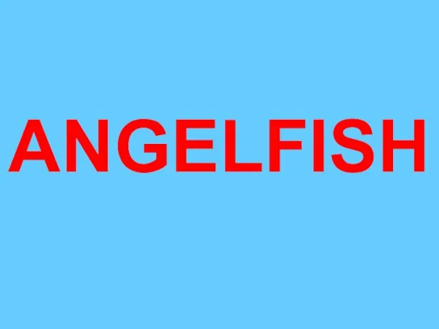 ANGELFISH