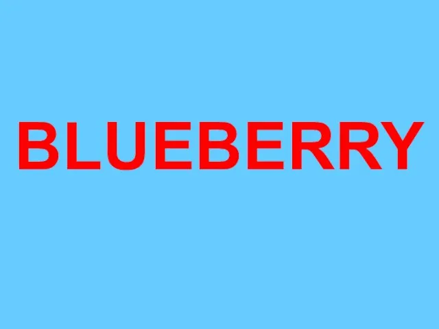 BLUEBERRY