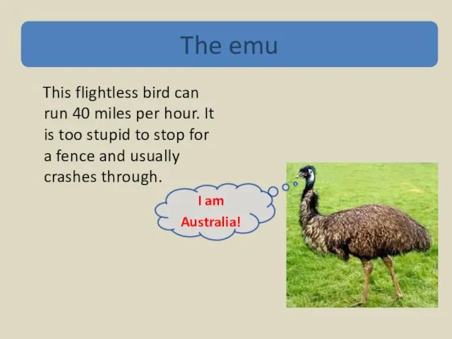 This flightless bird can run 40 miles per hour. It is too