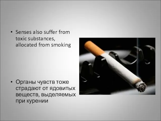 Senses also suffer from toxic substances, allocated from smoking Органы чувств тоже