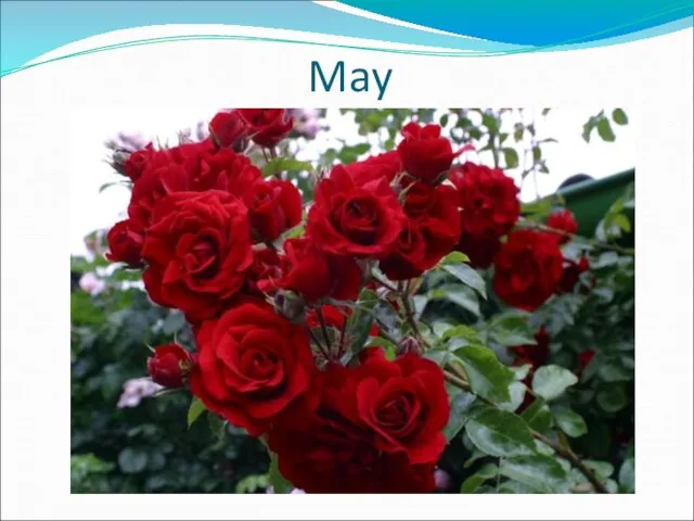 May