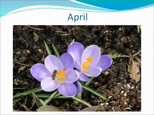 April