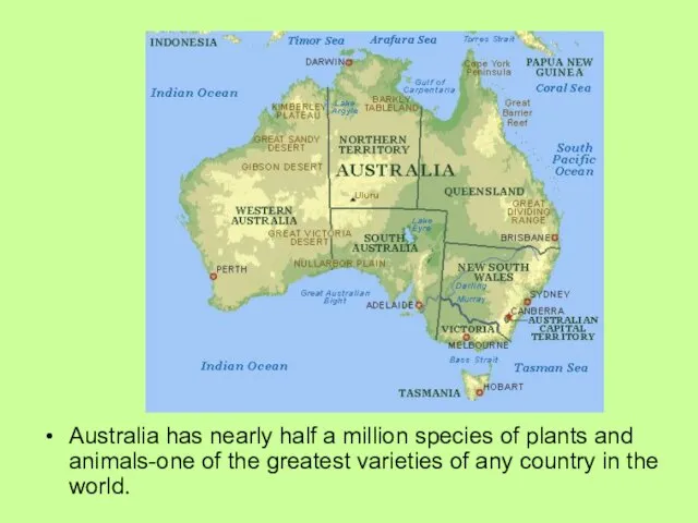 Australia has nearly half a million species of plants and animals-one of