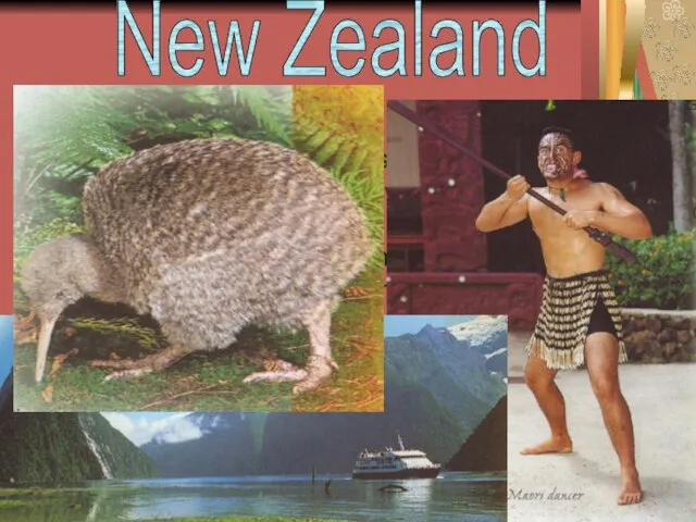 New Zealand New Zealanders, who are also known as “Kiwis”, are relaxed