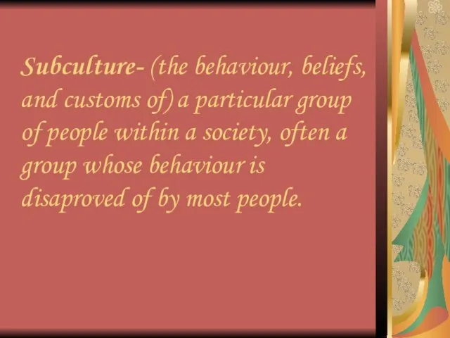 Subculture- (the behaviour, beliefs, and customs of) a particular group of people