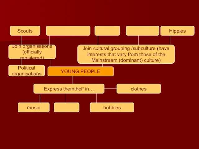 Scouts Hippies Join organisations (officially registered) Join cultural grouping /subculture (have Interests