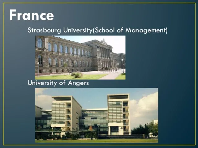 France Strasbourg University(School of Management) University of Angers