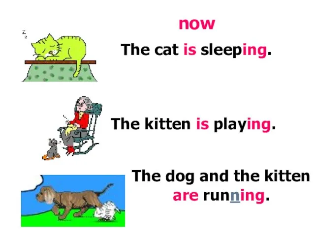 The cat is sleeping. The kitten is playing. The dog and the kitten are running. now