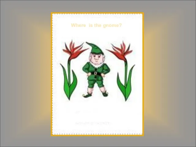 Where is the gnome?