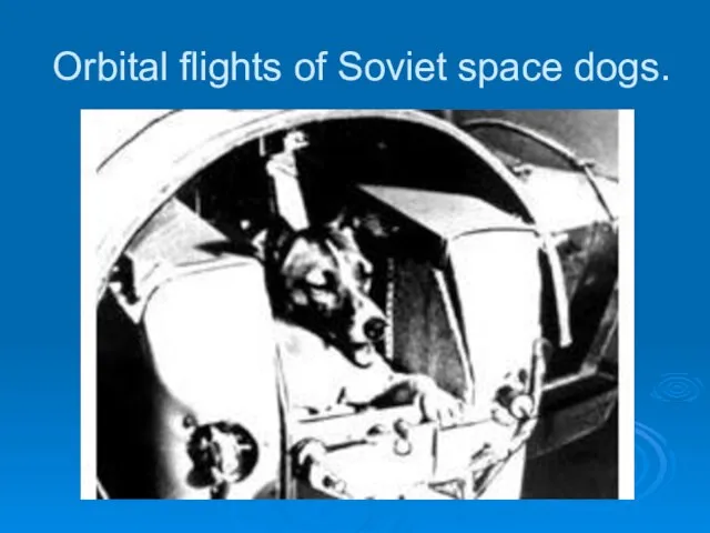 Orbital flights of Soviet space dogs.