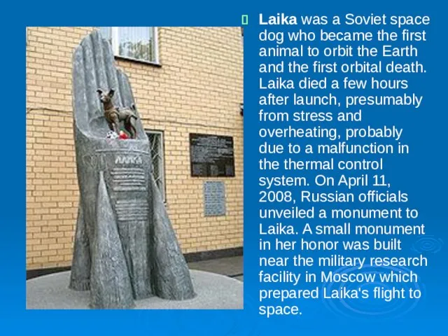 Laika was a Soviet space dog who became the first animal to