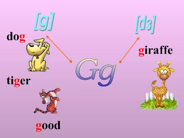 dog tiger giraffe [g] [dз] Gg good