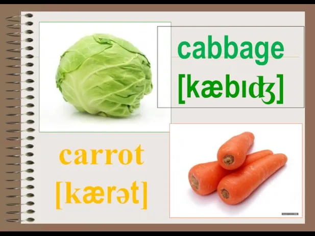 cabbage [kæbıʤ] carrot [kærәt]