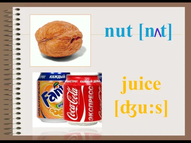 nut [n t] juice [ʤu:s]