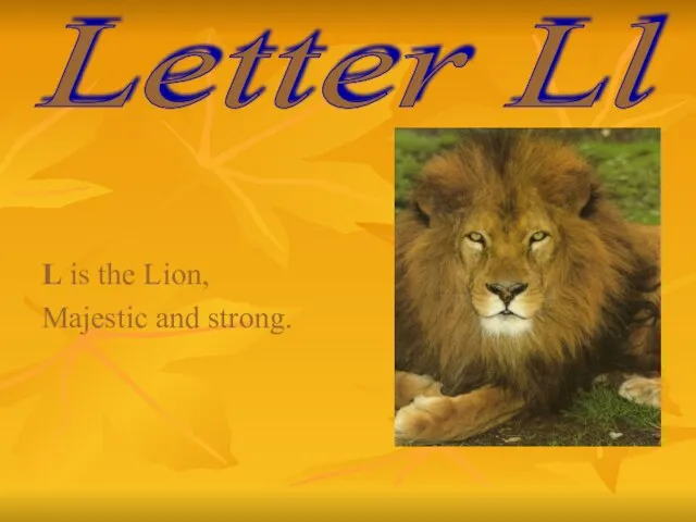 L is the Lion, Majestic and strong. Letter Ll