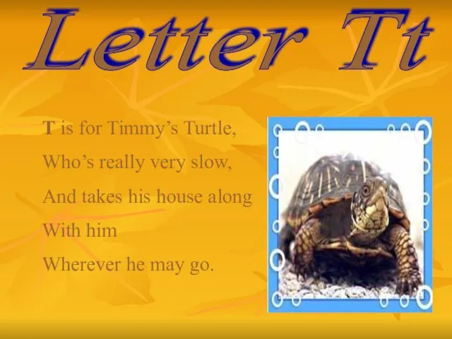 Letter Tt T is for Timmy’s Turtle, Who’s really very slow, And