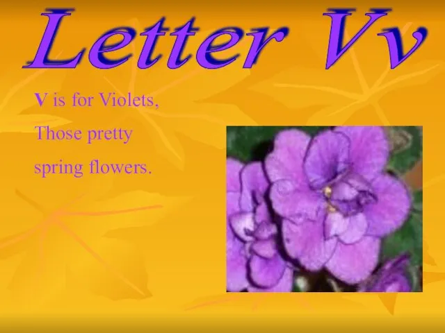 Letter Vv V is for Violets, Those pretty spring flowers.