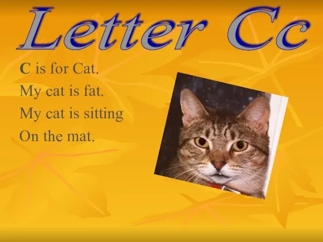 C is for Cat. My cat is fat. My cat is sitting