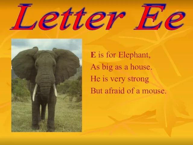 E is for Elephant, As big as a house. He is very