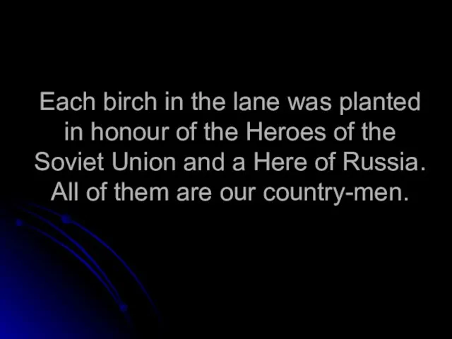 Each birch in the lane was planted in honour of the Heroes
