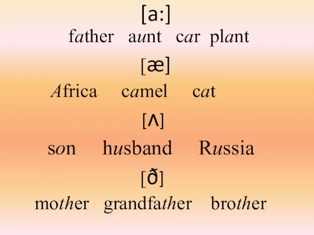 [a:] father aunt car plant [æ] Africa camel cat [ʌ] son husband