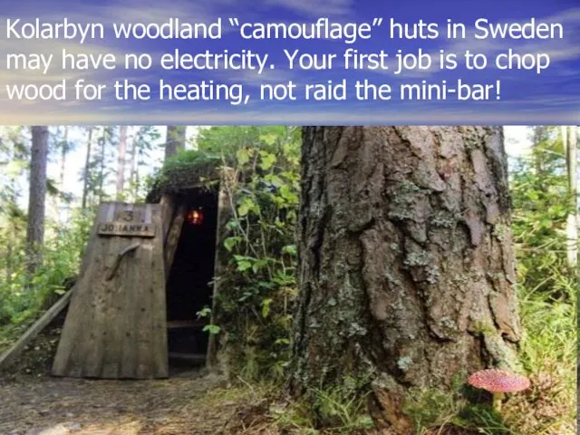 Kolarbyn woodland “camouflage” huts in Sweden may have no electricity. Your first