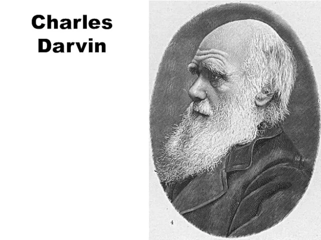 Charles Darvin