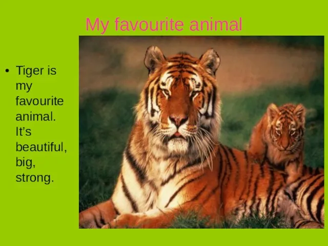 My favourite animal Tiger is my favourite animal. It’s beautiful, big, strong.