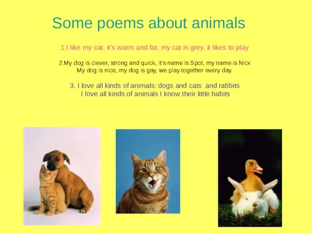 Some poems about animals 1.I like my cat, it’s warm and fat,