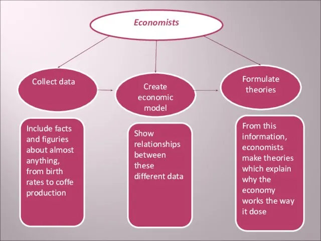 Economists Formulate theories Create economic model Collect data From this information, economists