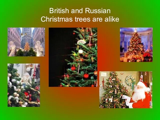 British and Russian Christmas trees are alike