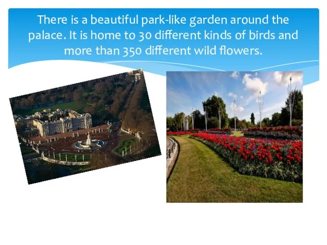 There is a beautiful park-like garden around the palace. It is home