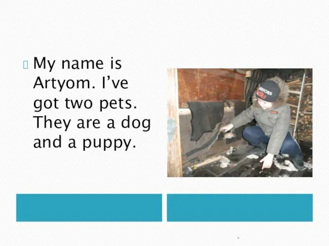 My name is Artyom. I’ve got two pets. They are a dog and a puppy. "