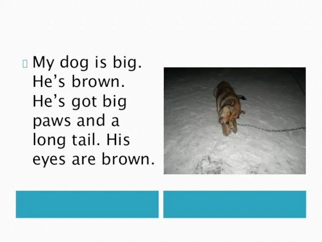 My dog is big. He’s brown. He’s got big paws and a