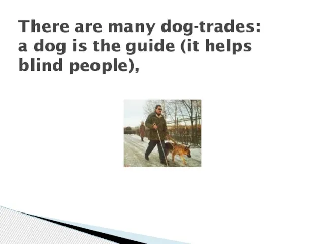 There are many dog-trades: a dog is the guide (it helps blind people),