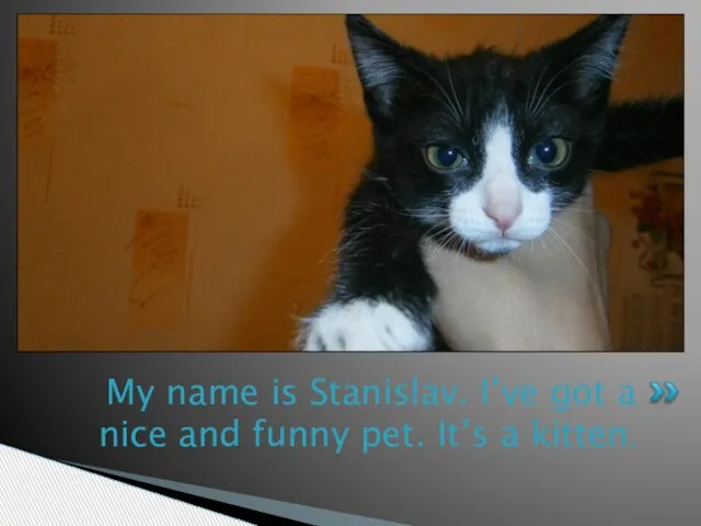 My name is Stanislav. I’ve got a nice and funny pet. It’s a kitten.