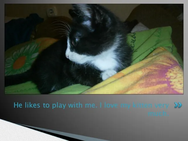 He likes to play with me. I love my kitten very much.