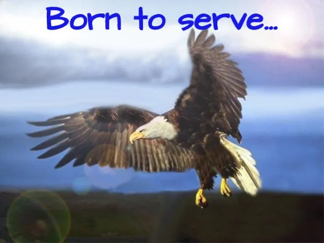 Born to serve…