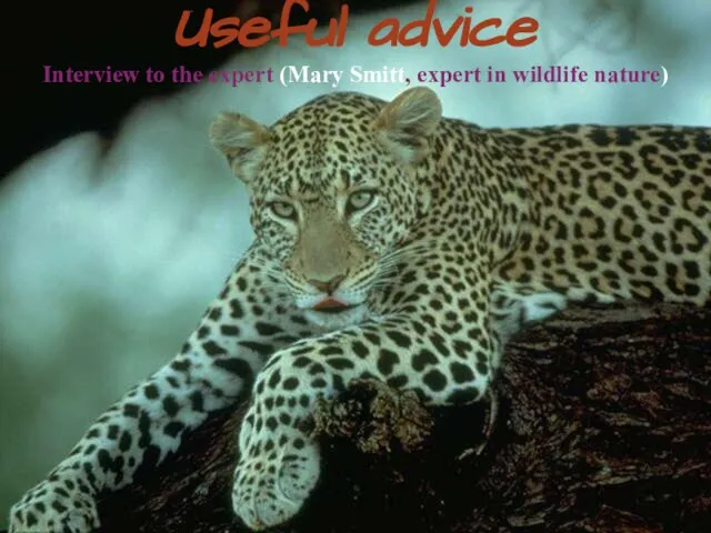 Useful advice Interview to the expert (Mary Smitt, expert in wildlife nature)
