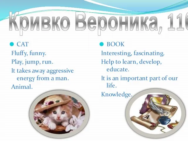 Кривко Вероника, 11б СAT Fluffy, funny. Play, jump, run. It takes away