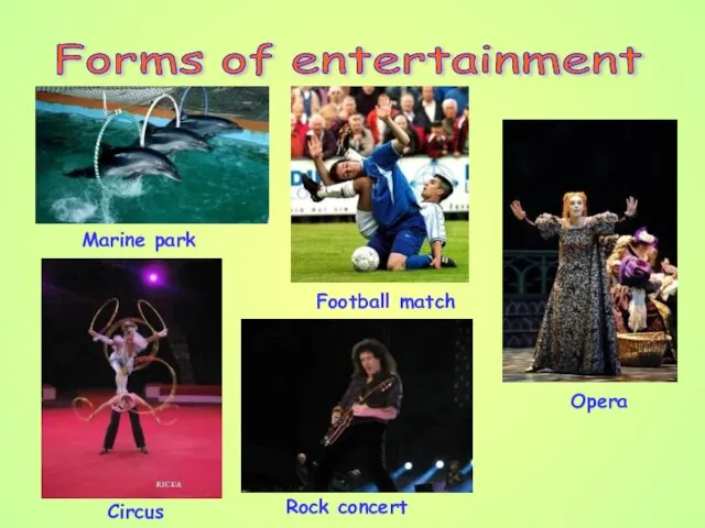 Forms of entertainment Marine park Football match Opera Circus Rock concert